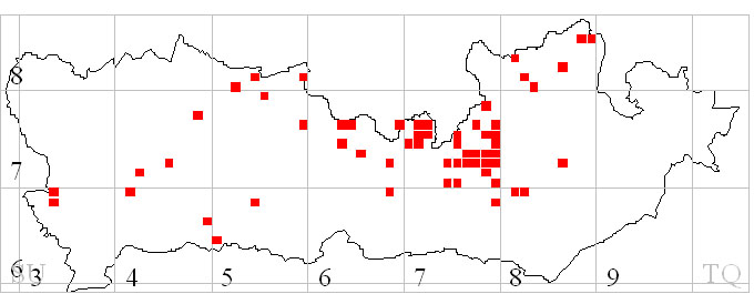 Fig 1. 1km squares having Red Kite records occurring in every main breeding month (April, May and June)