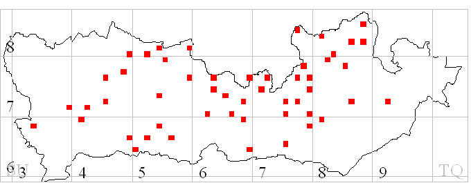 Fig 4. All records combined to show breeding Red Kite distribution 2006, by 1km square